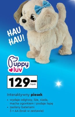Interaktywny piesek Puppy Luv promocja w Biedronka