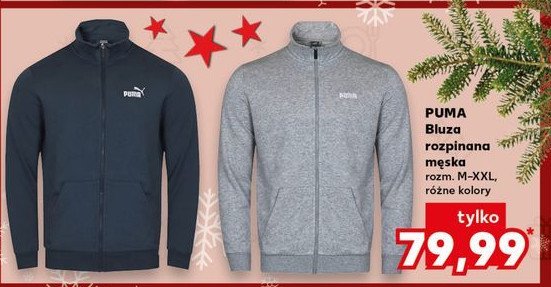 Bluza męska rozm. m-xxl Puma promocja w Kaufland