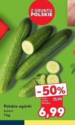 Og贸rki zielone promocja