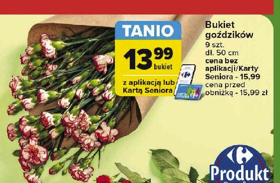 Bukiet drobnych goździków promocja