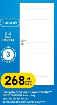 Skrzydło drzwiowe Exmoor Sette promocja w Castorama