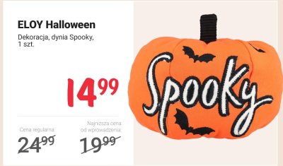 Dekoracja dynia Spooky Halloween 1 szt. ELOY promocja w Rossmann