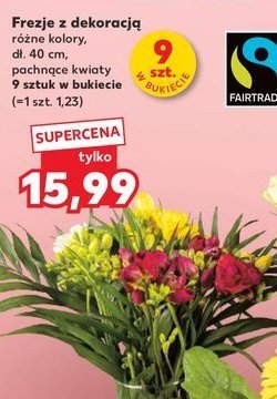 Frezje z dekoracją 40 cm promocja w Kaufland