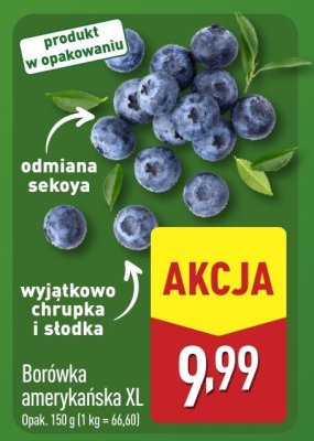 Borówka amerykańska XL promocja w Aldi