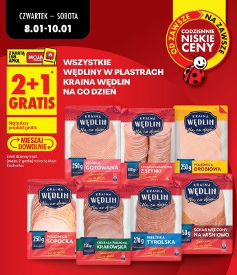 Wszystkie wędliny w plastrach marki Kraina Wędlin Na co dzień 2+1 GRATIS promocja w Biedronka