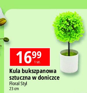 Kula bukszpanowa 23 cm Floral styl promocja