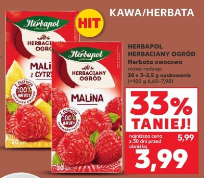 Herbata HERBAPOL HERBACIANY OGRÓD owocowa różne rodzaje 20 x 3-2,5 g promocja w Kaufland