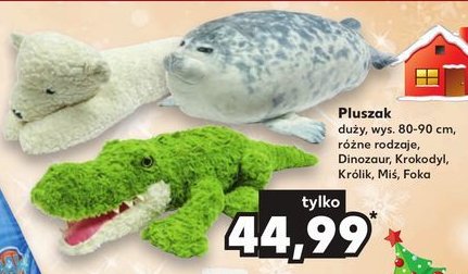 Pluszak krokodyl promocja