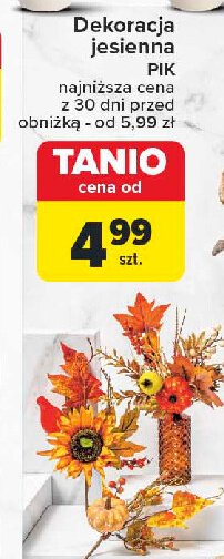 Dekoracja jesienna na piku Twj promocja