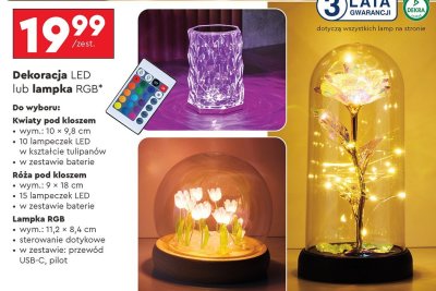 Dekoracja LED lub lampka RGB lethe promocja w Biedronka