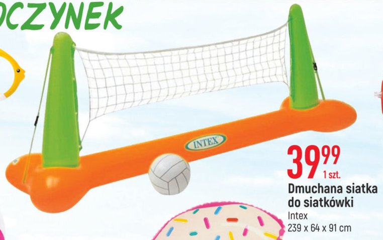 Siatk贸wka do basenu Intex promocja
