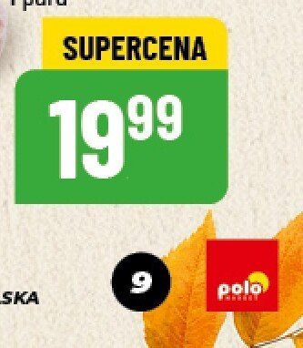 Kapcie damskie Captain Mike rozmiar 36-40 promocja w POLOmarket