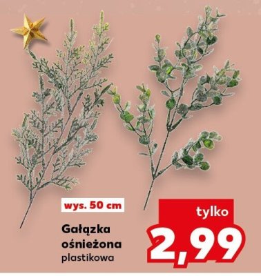 Gałązka ośnieżona plastikowa wys. 50 cm Kaufland promocja w Kaufland