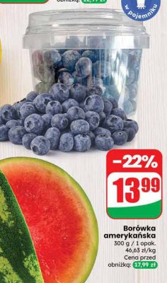 Arbuz mini Dino promocja w Dino