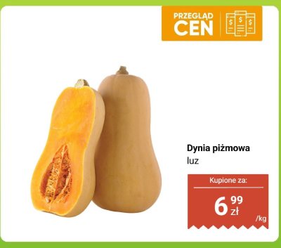Dynia piżmowa promocja w Biedronka
