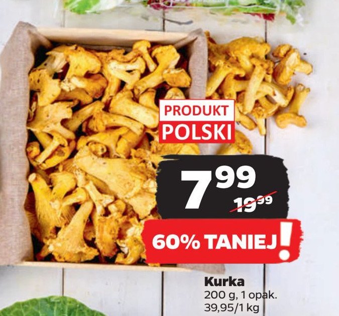 Kurki leśne promocja