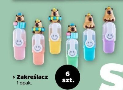 Zakreślacz 6 szt. promocja w Netto