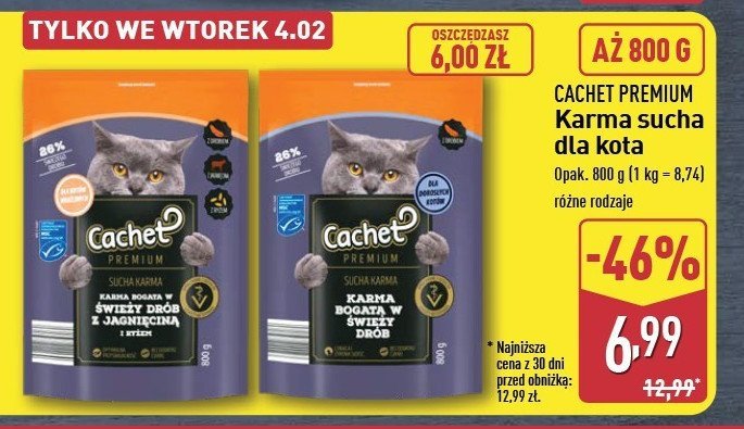 Karma dla kota drób z jagnięciną Cachet promocja