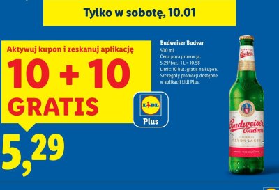 Piwo Budweiser Budvar promocja w Lidl
