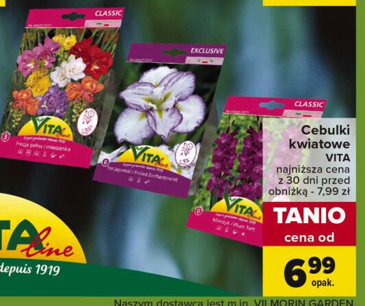 Cebulki kwiatów wiosennych classic Vita line promocja