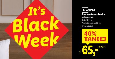 Kołdra dwuwarstwowa całoroczna 140 × 200 cm Livarno Home promocja