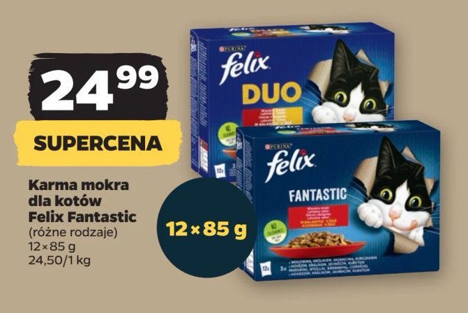 Karma dla kota wiejskie smaki Purina felix fantastic promocja