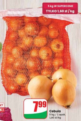 Cebula promocja w Dino