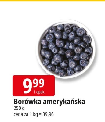 Borówka amerykańska promocja w Leclerc