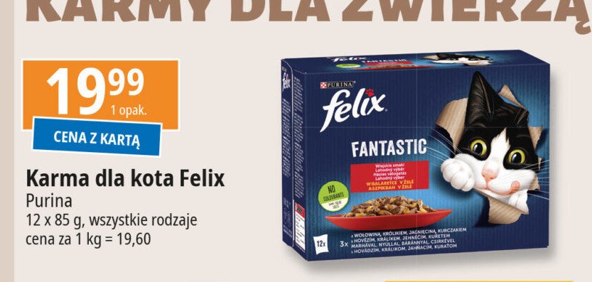 Karma dla kota wiejskie smaki Purina felix fantastic promocja