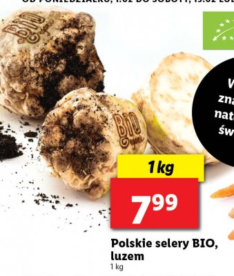 Seler bio Ryneczek lidla promocja