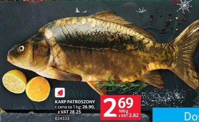 Karp patroszony świeży promocja w Selgros