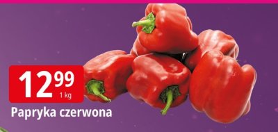 Papryka czerwona promocja w Leclerc