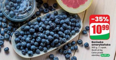 Borówka amerykańska promocja w Dino