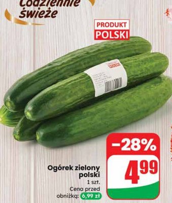 Ogórek zielony polski promocja w Dino