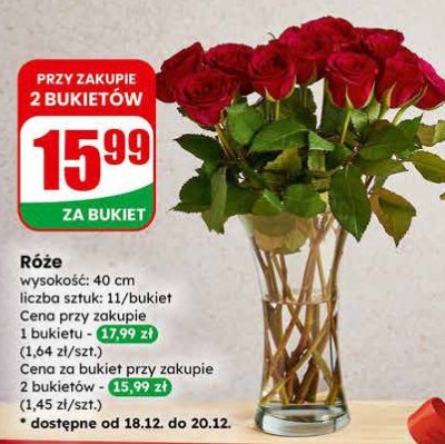 Róże bukiet 11 szt. promocja w Dino