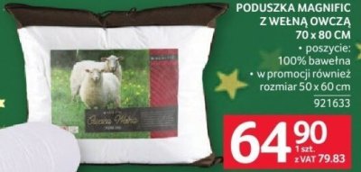 Poduszka Magnific z wełną owczą 70 x 80 cm promocja w Selgros