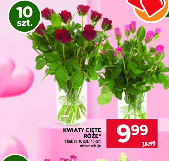 Róże 40 cm promocja