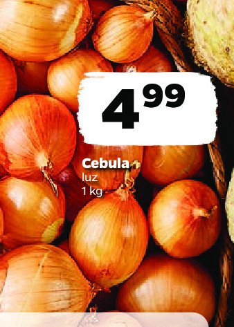 Cebula promocja w Euro Sklep