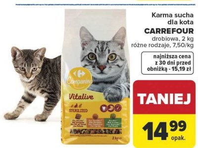 Karma sucha dla kota CARREFOUR drobiowa różne rodzaje promocja w Carrefour Market