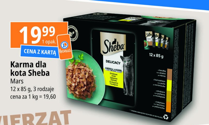 Karma dla kota smaki drobiowe w galaretce Sheba delicacy in jelly promocja
