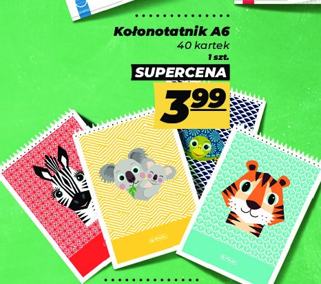 Kołonotatnik a6 40 kartek kratka promocja