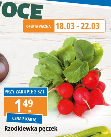 Rzodkiewka promocja w Leclerc