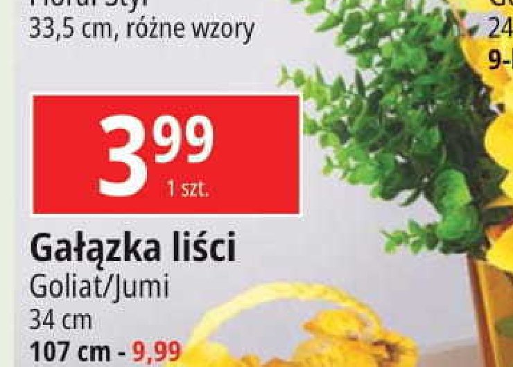 Ga艂膮zka li艣ci 107 cm Goliat promocja