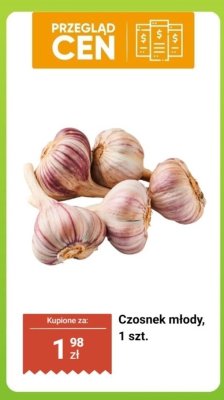 Czosnek młody 1 szt. promocja w Biedronka