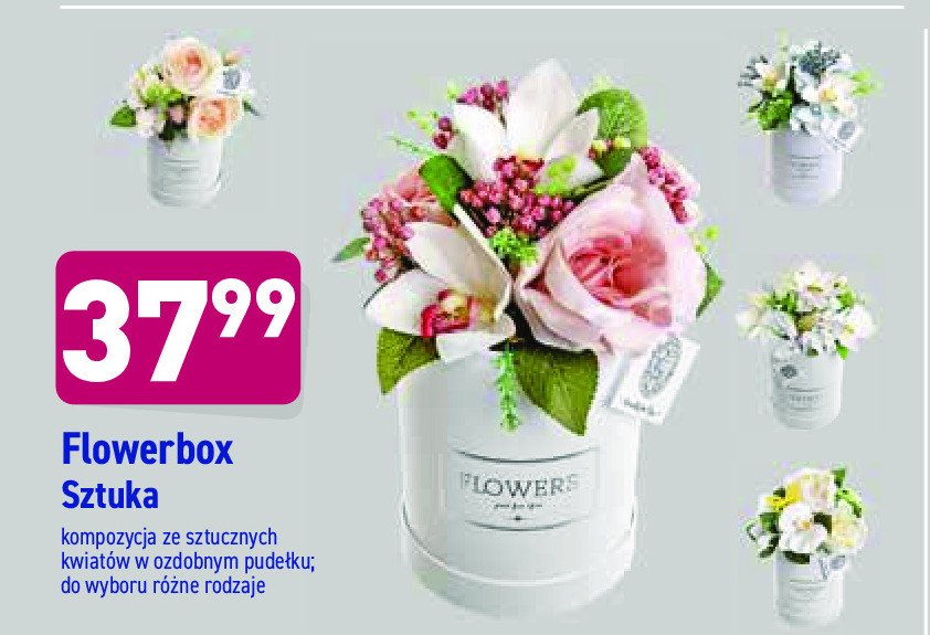 Kompozycja kwiatowa flowerbox promocja