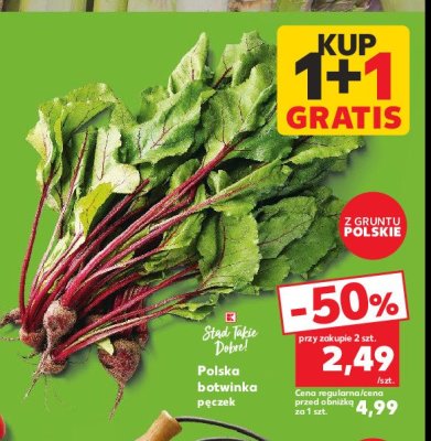 Botwinka polska K-classic stąd takie dobre! promocja
