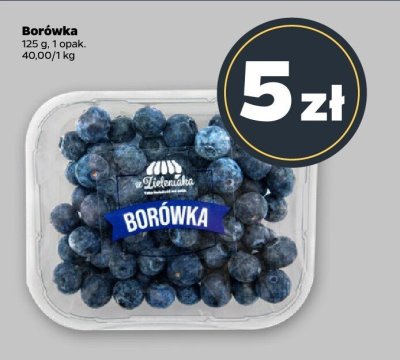 Borówka 125 g promocja w Netto