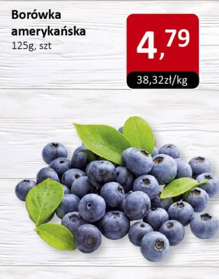 Borówka amerykańska promocja w Market Point