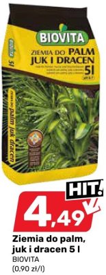 Ziemia do palm, juk i dracen BIOVITA 5 l promocja w Bricomarche