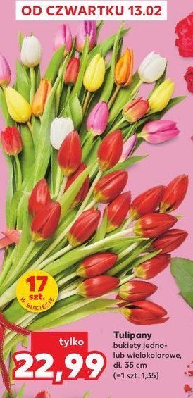 Tulipany 35 cm promocja